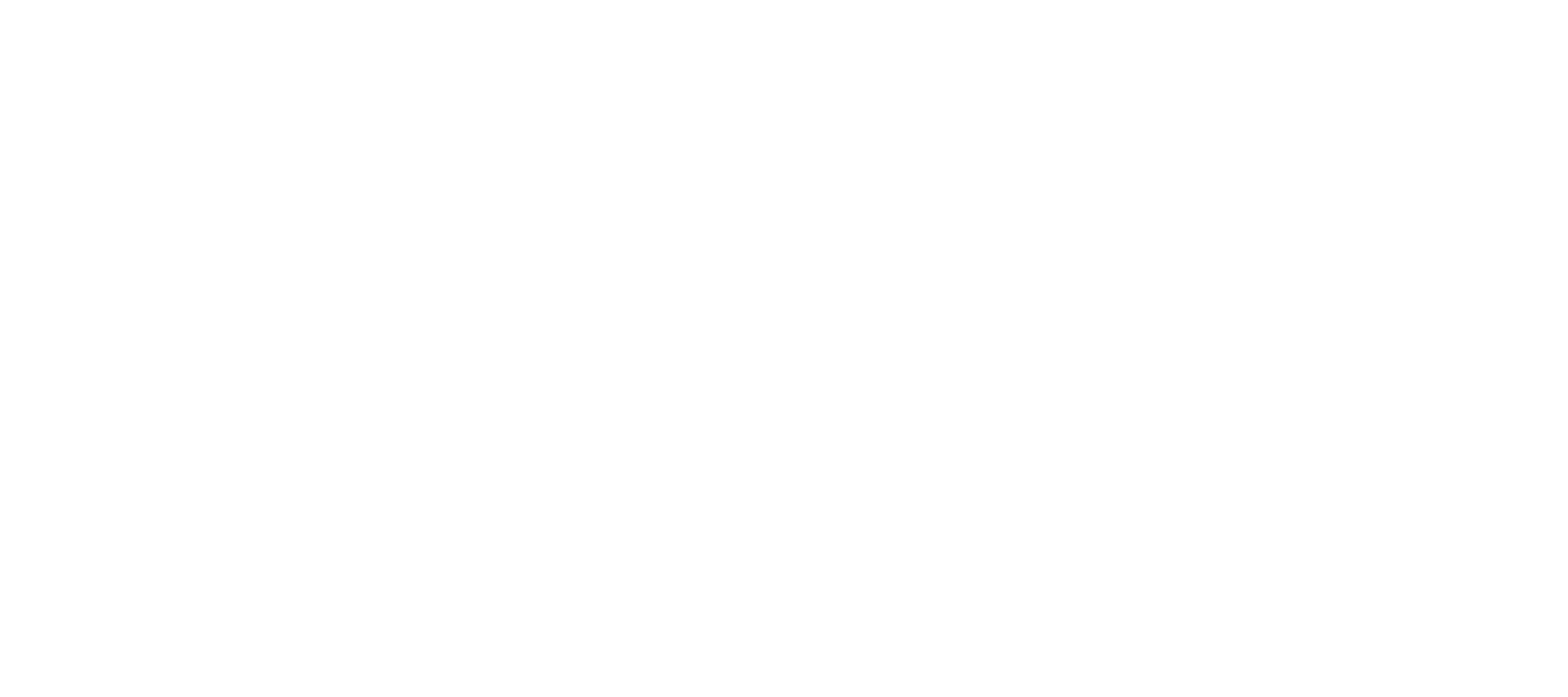 Logo white only
